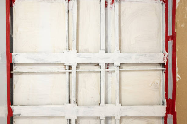 Best Basement Mold Removal  in Rice, MN