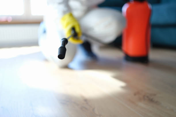 Best Mold Prevention Services  in Rice, MN