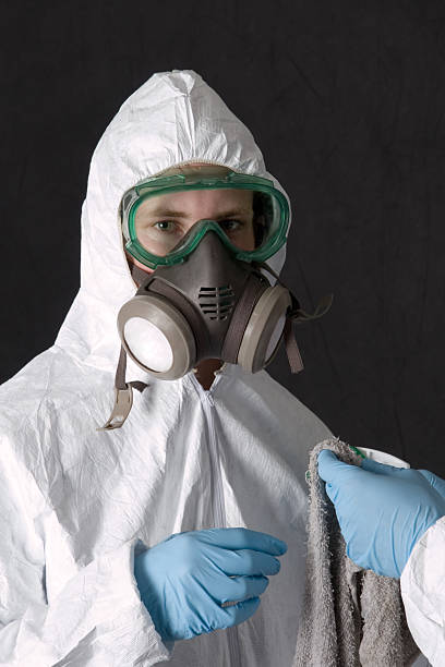 Asbestos and Lead Testing During Mold Inspection in Rice, MN